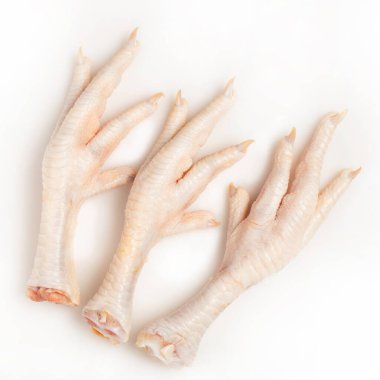 Beyaz arkaplanda tavuk ayağı, metin için boşluk