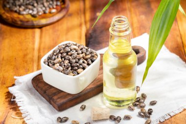 Tahta yüzeyde Hint tohumu ve yağ, kraliyetten bağımsız.