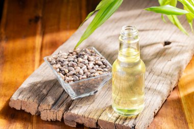 Tahta yüzeyde Hint tohumu ve yağ, kraliyetten bağımsız.