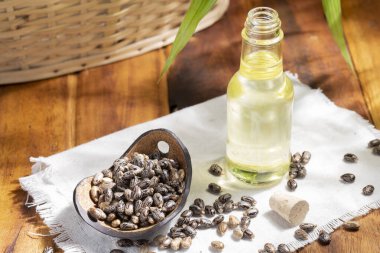 Tahta yüzeyde Hint tohumu ve yağ, kraliyetten bağımsız.