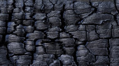 Yandıktan sonra kömürleşmiş ahşap dokunun yakın çekimi