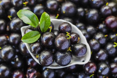 Egzotik ve lezzetli Jaboticaba meyveleri, Amazon kökenli bir meyve, imaj