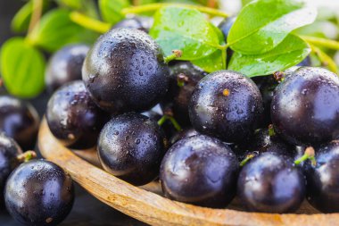 Egzotik ve lezzetli Jaboticaba meyveleri, Amazon kökenli bir meyve, imaj