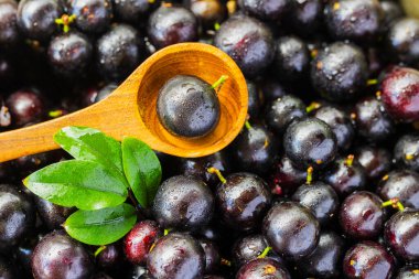 Egzotik ve lezzetli Jaboticaba meyveleri, Amazon kökenli bir meyve, imaj