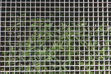 Bitki örtüsü, kentsel ve endüstriyel karşıtlık üzerine metal ızgara