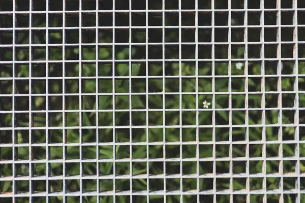 Bitki örtüsü, kentsel ve endüstriyel karşıtlık üzerine metal ızgara