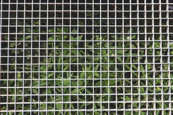 Bitki örtüsü, kentsel ve endüstriyel karşıtlık üzerine metal ızgara