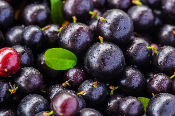 Egzotik ve lezzetli Jaboticaba meyveleri, Amazon kökenli bir meyve, imaj