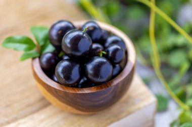 Amazon kökenli egzotik ve lezzetli taze Jaboticaba meyveleri.