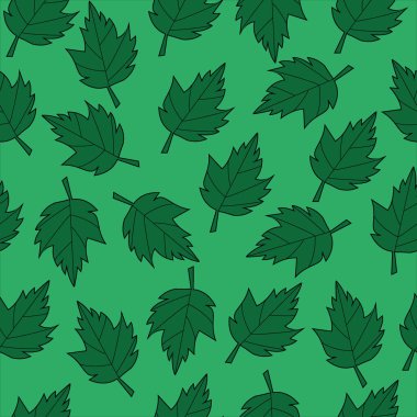 Yeşil akçaağaç yaprakları marul arka planında