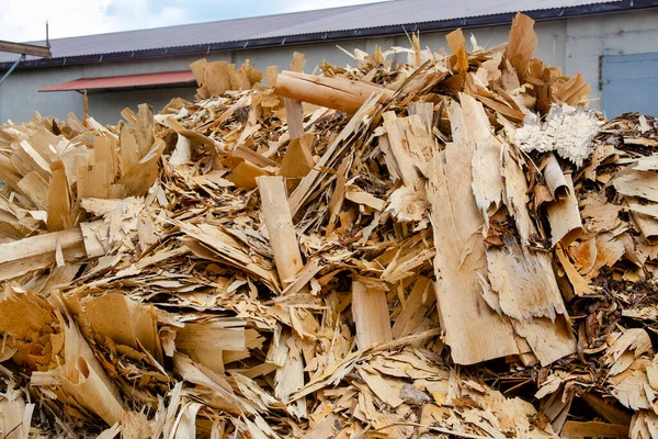 Avfall Från Träbearbetningsindustrin För Vidare Användning — Stockfoto