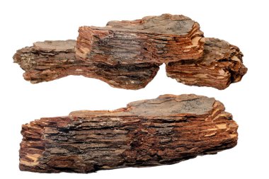 Toprak gübreleme ve dekorasyon için büyük ağaç kabuğu parçaları.