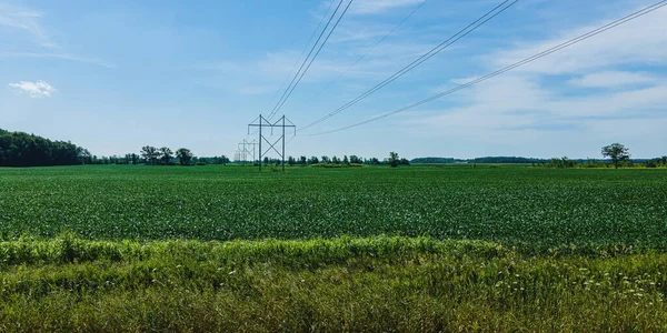 農村部のウィスコンシンの農場を通って行く電力塔のグループを見ることができる限り見出します — ストック写真