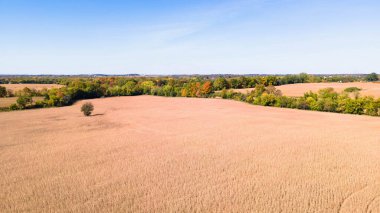 Sonbahar sezonu Wisconsin kırsalında sonbahar renkleriyle gösteriş yapıyor..