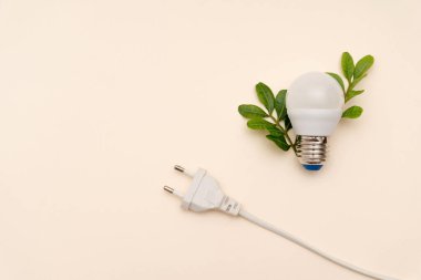 Tarafsız arkaplanda yeşil yapraklı LED ampul ve elektrik prizi, sürdürülebilir enerji ve elektrik fiyatları kavramı