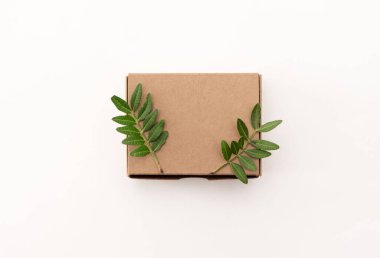 Beyaz Arkaplanda Yeşil Yapraklarla süslenmiş Karton Kutu ile Eko Paketleme Kavramı