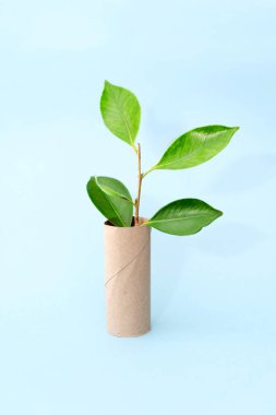 Mavi arka plandaki boş tuvalet kağıdı rulosundan büyüyen Yeşil Santralin dikey görüntüsü, çevre dostu ve sürdürülebilirlik kavramı