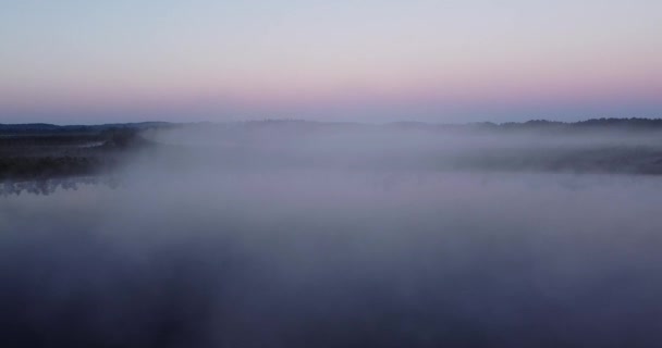 Vacker Utsikt Genom Myrträd Soluppgången Ang Tjock Dimma Tidig Sommarmorgon — Stockvideo