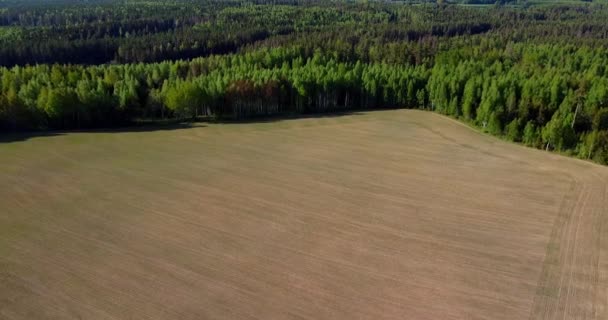 Zorané Připravené Setí Zemědělských Polí Agronomický Průmysl Prázdná Suchá Hnědá — Stock video