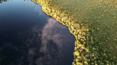 Göl ve kara sınırına yakın uçuyorlar. Gölden yansıyan bulutlar. Bataklık, bataklık, sulak arazi. Göllü güzel yeşil yaz ormanı. Mavi yansıtıcı su. - Evet. Yüksek kalite 4k görüntü