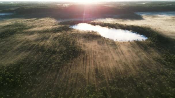Voando Acima Nevoeiro Nascer Sol Névoa Num Lago Com Nascer — Vídeo de Stock