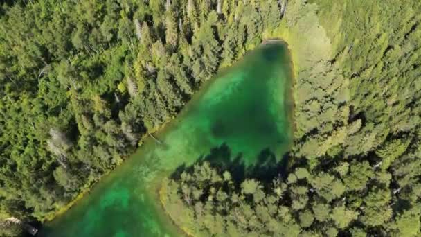 水を通して緑の青のトップダウンビュー 映画をクリア鮮やかな青 緑の水の湖 自然と素晴らしいターコイズ色 太陽の反射と緑の森 美しい景色のトップダウン — ストック動画