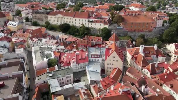 Старий Вид Історичну Країну Естонії Історичний Район Старого Міста Горизонт — стокове відео