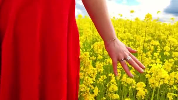 女性が牧草地を厚菜種畑を歩いている 赤いドレスの女性は花の牧草地を歩き 手は菜の花に触れます 自然界の野生植物に触れます かなり認識できない — ストック動画