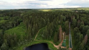 Ladin kozalaklı ağaç tepelerinde uçan orman manzarası. Ormanın üzerinden uçmak, doğal arka plan hareketi. Karışık orman, yeşil kozalaklı ağaçlar, gün ışığı renklerinde yaprak döken ağaçlar. Güneşli bir gün. 