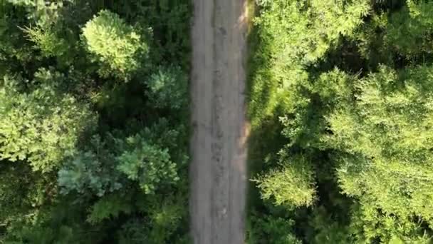 Vista Aérea Sobrevoando Homem Detector Metais Estrada Caminhar Sozinho Num — Vídeo de Stock