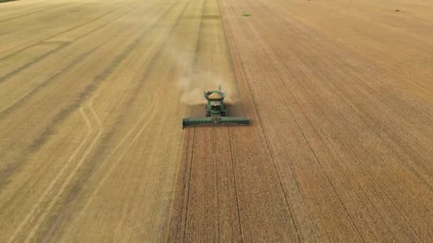 Colheitadeira Que Trabalha Campo Trigo Máquinas Agrícolas Que Trabalham Terras — Vídeo de Stock