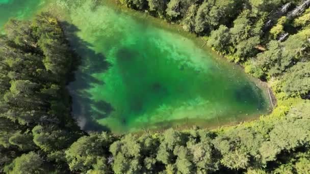 Яркое Синее Зеленое Озеро Чистая Голубая Зеленая Вода Светлыми Отражениями — стоковое видео