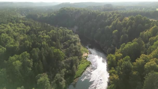 Landschaftlich Gewundenen Fluss Aus Der Luft Drohnen Ansicht Umweltschutzgebiet Wunderschöne — Stockvideo