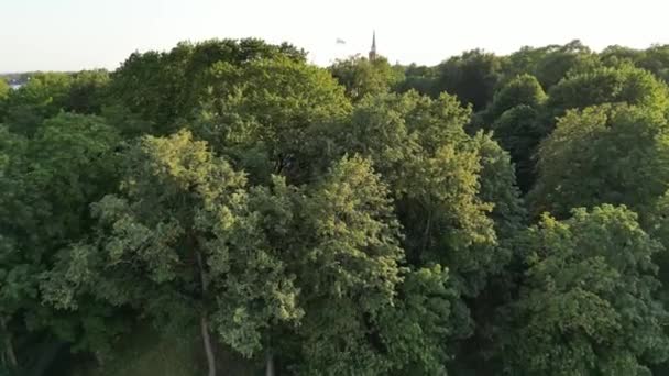 Der Flug Über Grüne Wälder Die Von Sonnenuntergang Berührt Werden — Stockvideo