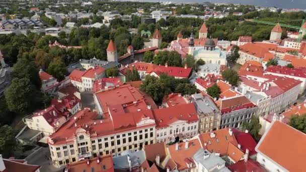 Schöne Luftaufnahme Der Altstadt Von Tallinn Rote Gebäude Auf Dem — Stockvideo