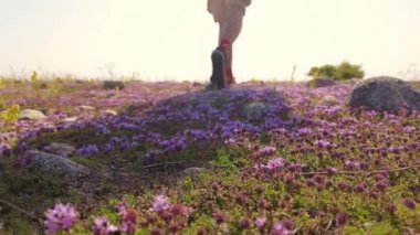 Otların üzerinde yürüyen bir yürüyüşçü, ormanda yürüyen bir bacağa yakın bir adam. Yürüyüş ve seyahat. Aktif yaşam tarzı konsepti. Yürüyüş ayakkabıları parka yakın yürüyor. Tanımlanamayan adam yürüyor. Yaz görünümü.