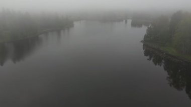 Çam ağacı ormanında sisli bir sis esiyor. Sisli kırsalda gün doğumu. Sihirli sis manzarası. Güzel sonbahar ormanında sabah sisi. Güneşin doğuşunda sisli ve renkli ağaçların Drone görüntüsü.
