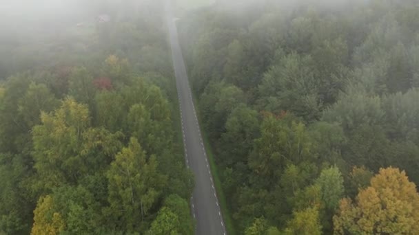 霧の霧が松の木の森の上を吹いている 霧の田舎で日の出 魔法の霧の風景 美しい秋の森で朝の霧 日の出の夕日の霧とカラフルな木々の素晴らしいドローンビュー — ストック動画