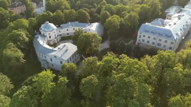 Stadtpark Mit Grünen Bäumen Stadtsilhouette Jenseits Der Bäume Drohnenaufnahmen Einem — Stockvideo