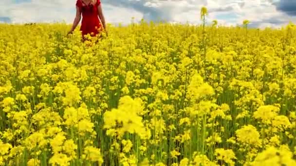 Mladá Šťastná Blondýnka Běhá Žlutém Řepkovém Poli Dívka Červených Šatech — Stock video