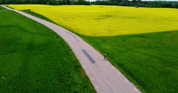 Szőke Fejű Biciklizik Sárga Repcemagmezők Mellett Canola Virágok Nagy Sárga — Stock videók