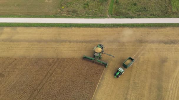 Luftaufnahme Eines Mähdreschers Der Maiskörner Einen Traktoranhänger Lädt Landmaschinen Bei — Stockvideo