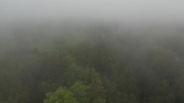 Aerial Drone View of Misty Rainforest with low clouds. Foggy landscape with green trees. High Up Shot About Climate Change, Misty Tropical Jungle Landscape High Above Clouds in Amazing Dramatic Light.