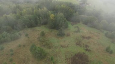 Aerial Drone View of Misty Rainforest with low clouds. Foggy landscape with green trees. High Up Shot About Climate Change, Misty Tropical Jungle Landscape High Above Clouds in Amazing Dramatic Light.