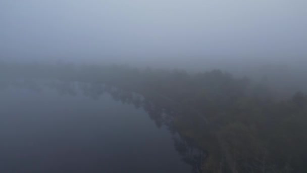 Aerial Drone View Misty Rainforest Low Clouds Foggy Landscape Green — Stockvideo