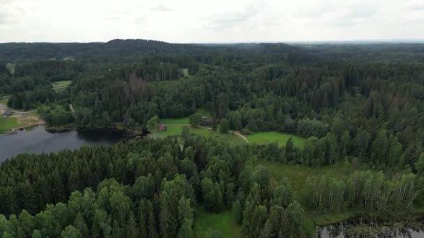 Rich Green Trees Atmospheric Birds Eye View Rich Green Forest — Stock Video