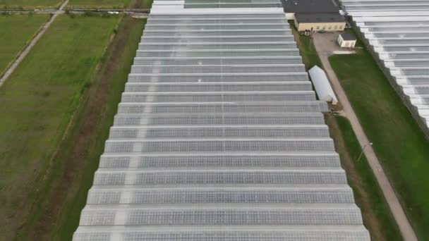 Industrial Greenhouses Aerial View Flying Large Greenhouse Modern High Tech — Stock Video