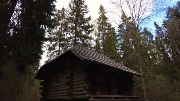 森の中の木造キャビンのタイムラプス 雲が急速に過去に移動します カメラを見上げます 春の感じ 森の中の木造キャビン 暖炉付きの居心地の良いベッドルーム ハイパーラプス — ストック動画