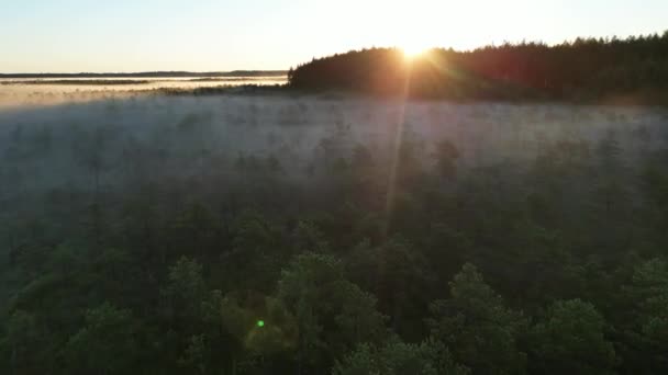 Sunrise Rays Shining Aerial Drone View Sunrise Misty Landscape Sun — Stockvideo
