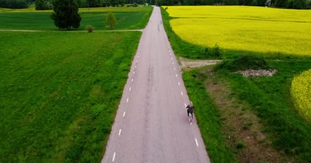 Aerial Drone Shot Cyclists Ride Beautiful Epic Yellow Rapeseed Field — Vídeo de Stock
